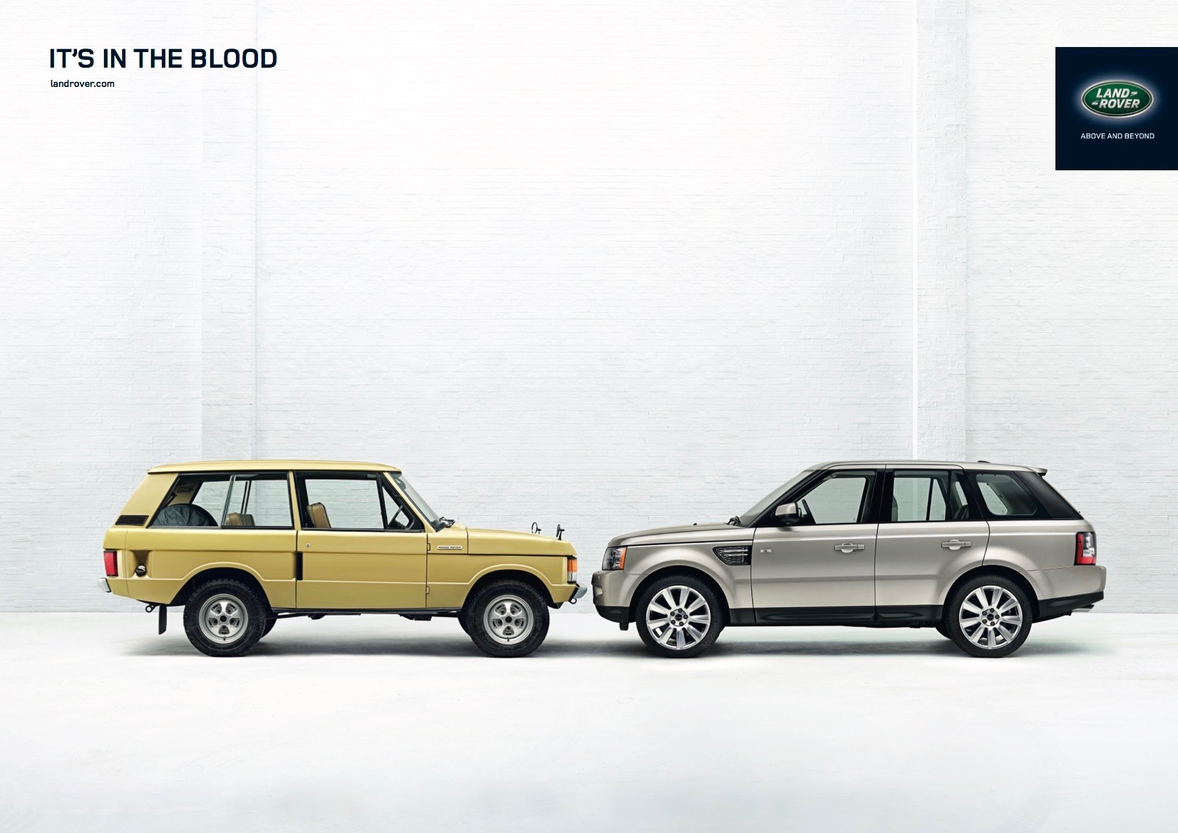 IN THE BLOOD YELLOW CAR (1)